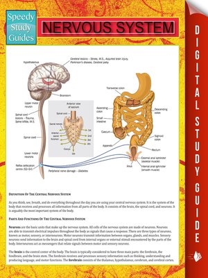 Nervous System - ebook